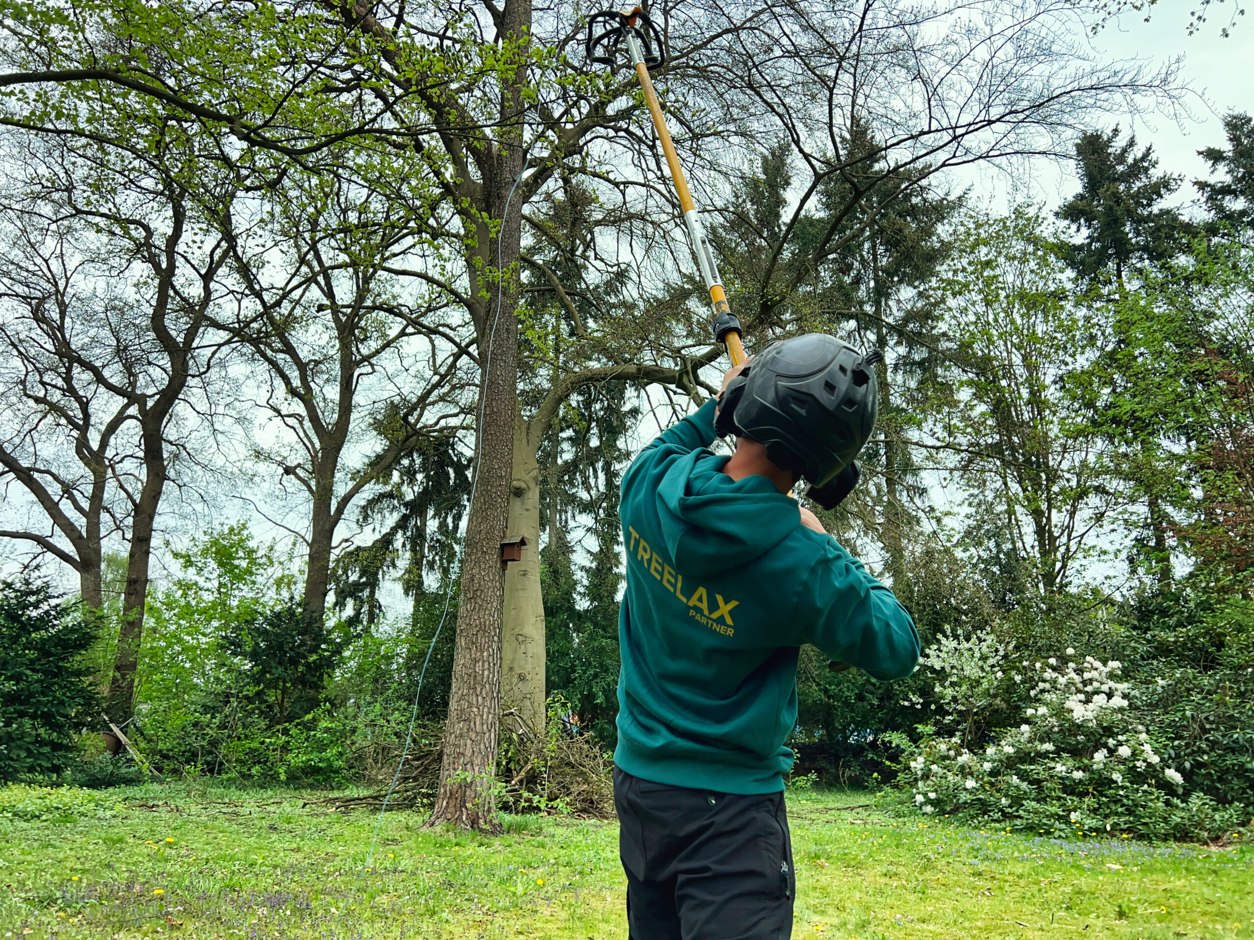TREELAX-Mitarbeiter bei der Baumpflege vom Boden aus